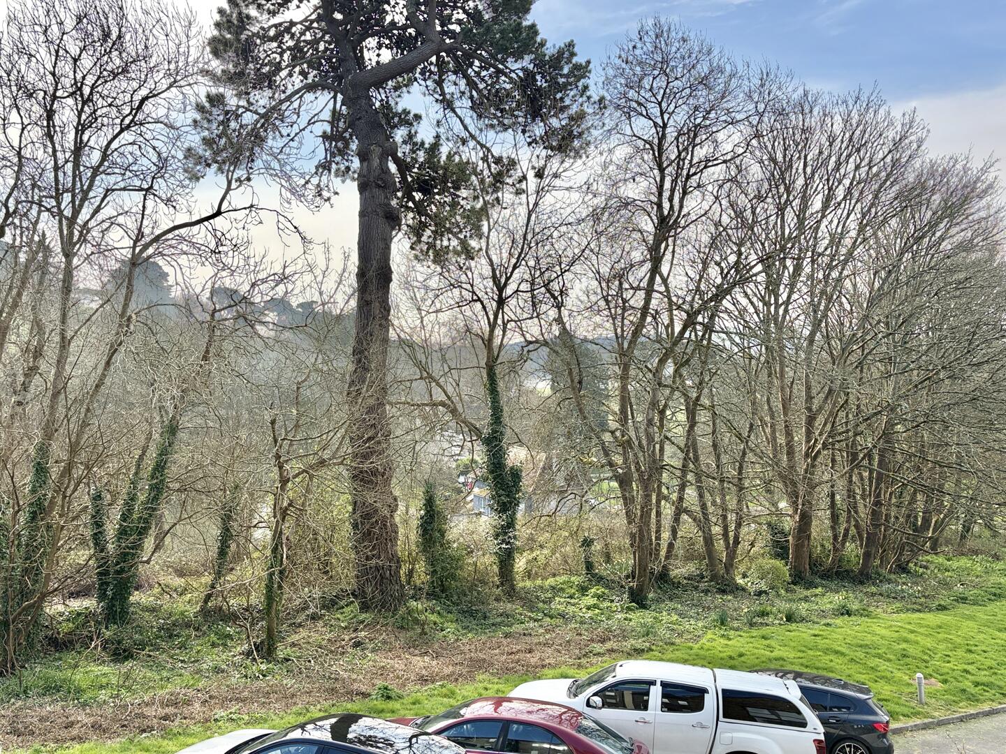 Boscawen Woods, Truro